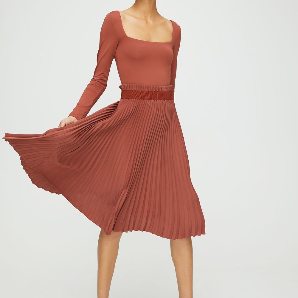 NWT Aritzia Midi Skirt